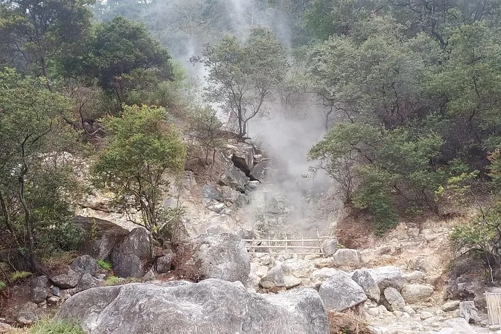Steam rising from a rocky slope with trees at Kawah Putih.