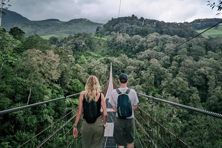 Una pareja caminando por un largo puente colgante rodeado de un frondoso bosque tropical verde.